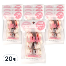 GUMMM 반려견 딩고오리껌 간식 5p, 딩고오리맛, 60g, 20개