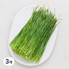 영양부추, 200g, 3개