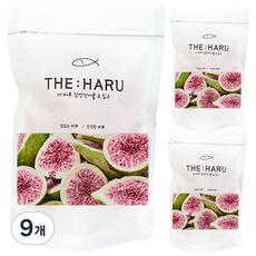 더하루 동결건조 과일 무화과, 55g, 9개