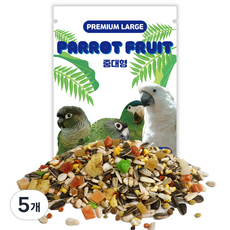 프리미엄 라지 패럿 프룻 간식 중대형, 800g, 5개