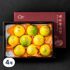 탐라황감 황금향 8~12입 선물세트, 3kg, 4개