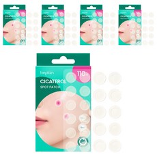 비플레인 시카테롤 스팟패치, 5개, 110개입