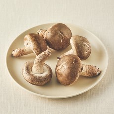 친환경 송화버섯, 150g, 1개