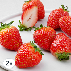 올프레쉬 GAP 인증 대왕 설향 딸기, 500g, 2팩