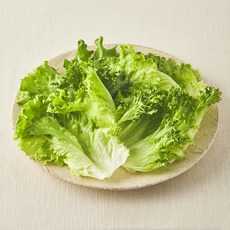 무농약 인증 스마트팜 소프트믹스 샐러드 채소, 100g, 1개, 1개입