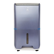 HITACHI 日立 11L變頻清淨除濕機 RD-22FC