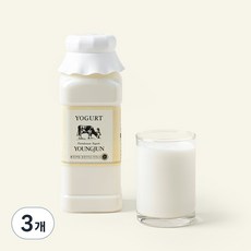영준목장 수제 요거트 플레인, 500ml, 3개