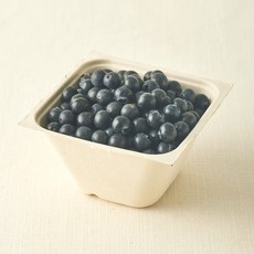 산지직송 아주마 무농약 인증 영동 블루베리, 250g, 1개
