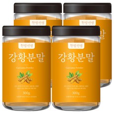 한방선생 강황분말, 300g, 4개