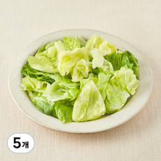 무농약 스마트팜 손질 양상추, 250g, 5개, 1개입