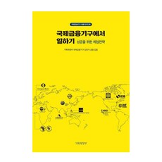 在國際金融機構工作： 成功的就業策略, 企劃財政部, 企劃財政部國際金融機構負責人
