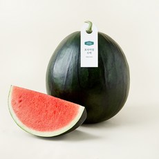 프리미엄 씨적은 SWT 흑수박, 7kg 이상, 1개