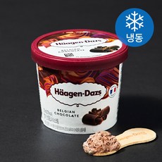 하겐다즈 벨지안 초콜렛 (냉동), 100ml, 1개입, 1개