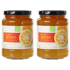 초록원 꿀유자차, 580g, 1개입, 2개