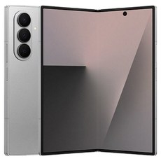 삼성전자 갤럭시 Z폴드7 SM-F966N, 실버 쉐도우, 512GB