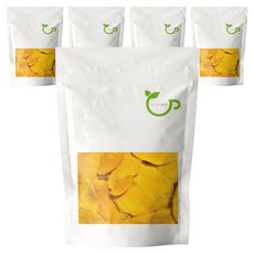 그린팟 건조 망고 슬라이스, 200g, 5개