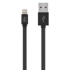 TEAMGROUP 十銓 Lightning 扁平充電線 100cm iPhone iPad iPod 適用 MFI 認證, 黑色, 1條