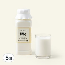 영준목장 수제 요거트 플레인, 500ml, 5개