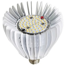 君沛光電 40W LED植物燈泡 加強型光譜 E27 110V-220V, 1個