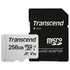 Transcend 創見 micro SD卡 300S-A, 256GB, 1個