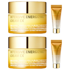 아이소이 인텐시브 에너자이징 크림 60ml EX + 탄력크림EX 7ml, 2개
