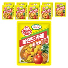 OTTOGI 不倒翁 蘋果鳳梨口味佛蒙特咖哩調理包, 100g, 10包