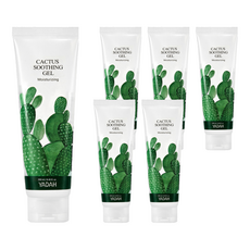YADAH 仙人掌舒緩凝膠, 250ml, 6條