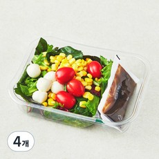 스윗밸런스 모짜렐라 카프레제 샐러드, 165g, 4개