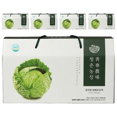 청춘농장 정직한 양배추진액즙 30p, 2.7L, 5개