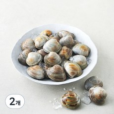 생물 백합조개 (냉장), 2개, 1.5kg