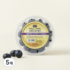 유레카 블루베리(국내산), 100g, 5개