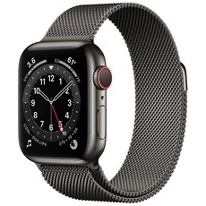 Apple 애플워치 6, 40mm, GPS+Cellular, 스테인리스 스틸, 그래파이트 / 그래파이트 밀레니즈 루프, 그래파이트 스테인리스 스틸 케이스, 그래파이트 밀레니즈 루프