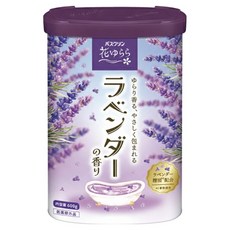 바스크린 입욕제 라벤더향, 600ml, 1개