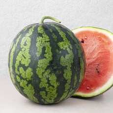 곰곰 당도선별 수박, 3kg이상, 1개