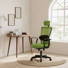 바른자세연구소 바른자세세트 의자, 블랙 + 애플그린