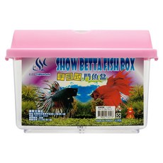 AQUAFUN 水之樂 手提式鬥魚盒, 1組