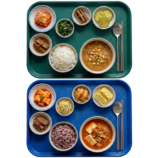 미니모 고강도 컬러 쟁반 트레이 2종 세트, 셔우드그린, 아마존블루, 1세트