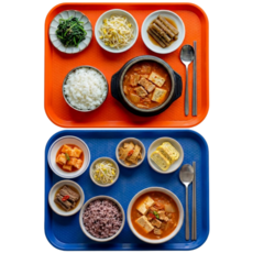 미니모 고강도 컬러 쟁반 트레이 2종 세트, 아마존블루, 시트러스오렌지, 1세트