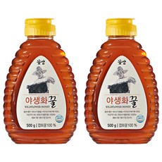 Kotsam 花泉 野生花蜜, 2個, 500g