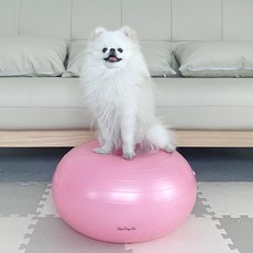 DING DONG PET 狗狗健身球, 混合顏色