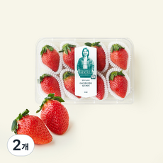 GAP 인증 양인서 농부의 논산 클로렐라 킹스베리, 350g, 2개