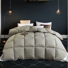 BEULRUMUYEOK 抗寒用鵝絨飯店被, 灰色