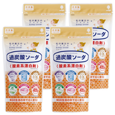 novopin 過碳酸鈉漂白粉 氧氣系漂白劑, 120g, 4包