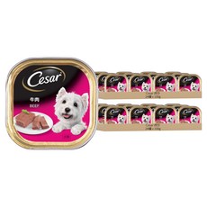 西莎 Cesar 精緻餐盒 成犬濕糧 100g, 牛肉, 48罐