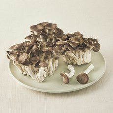 친환경 고기느타리버섯, 500g, 1개