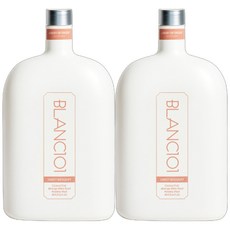 블랑101 스위트부케 세탁 액상세제, 2개, 1.2L
