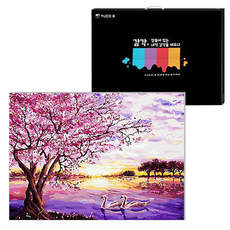 TUCO.B DIY繪畫組 水平型 40*50cm, 天鵝湖 (5008), 1組