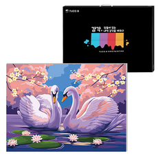 TUCO.B DIY繪畫組 水平型 40*50cm, 春天的天鵝 (5478), 1組