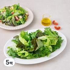 유러피안 소프트 샐러드, 300g, 1개입, 5팩, 300g