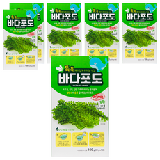 바다포도, 6개, 100g